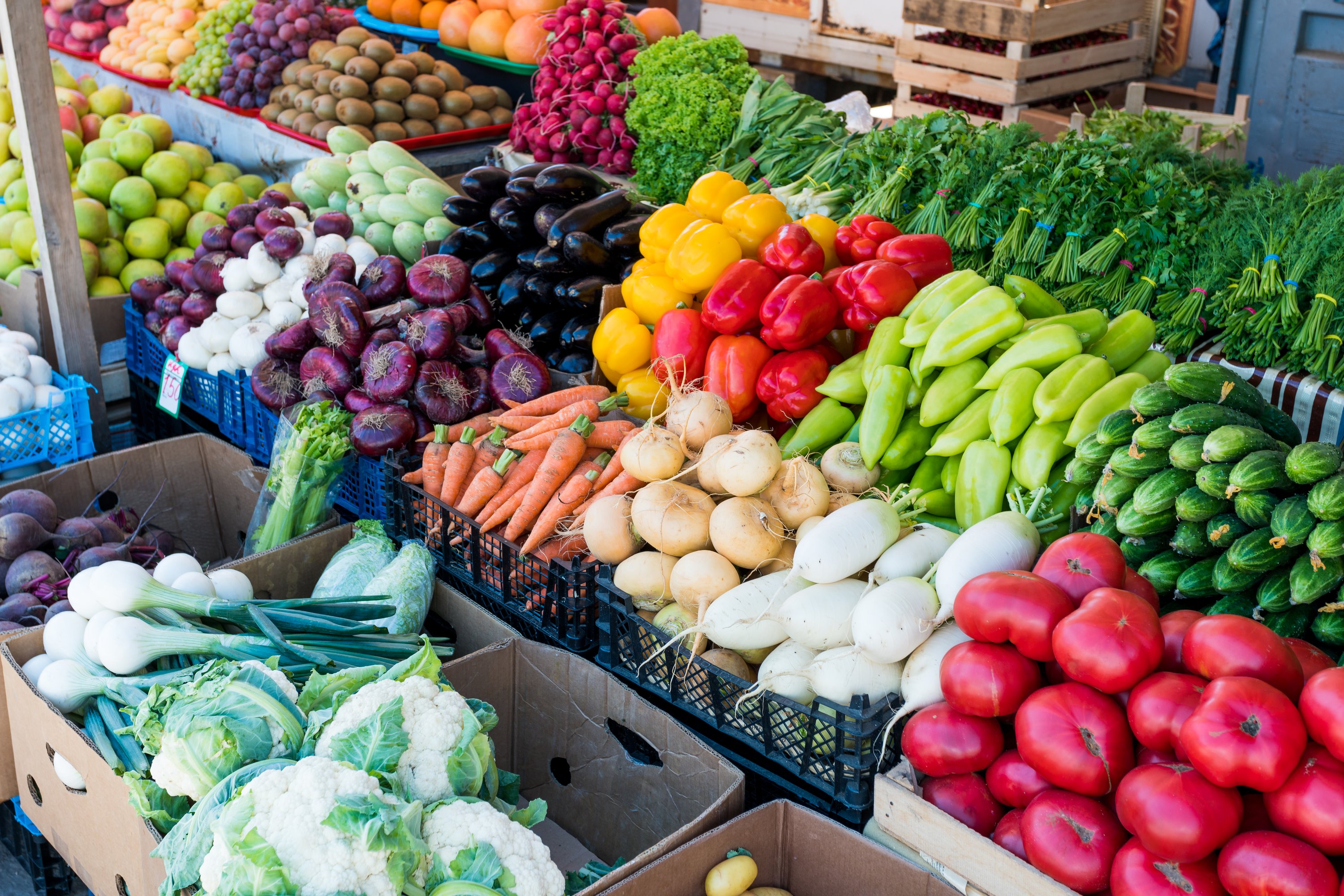 The Top 8 Farmers Markets to Experience in Naples, Florida