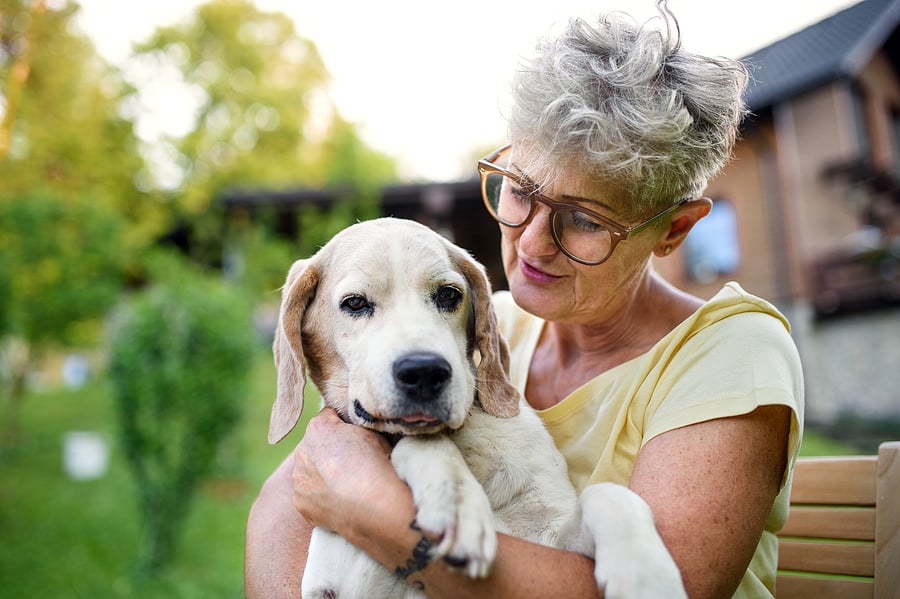 5 Benefits of Having a Pet as You Age